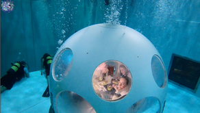 Deep Dining at Nemo 33 in an Underwater Restaurant