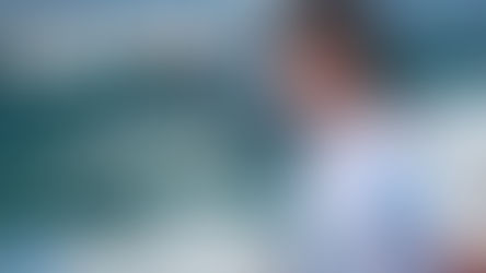 Dolphin Delight at Marsa Alam, Egypt