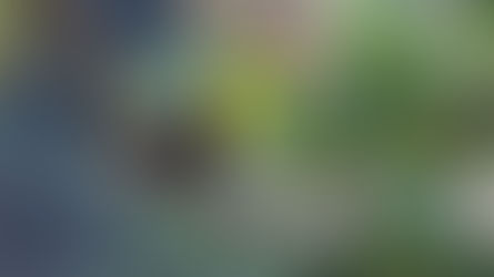 Do srdce kostarické džungle, aneb zelený svět Střední Ameriky.