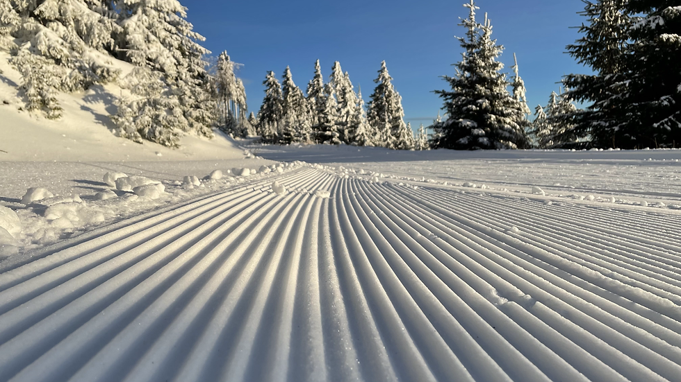 Copyright © 2021 Lucie Plicová, Černá hora