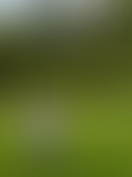 JÁVA, BALI, LOMBOK aneb, jak jsme zdolávali sopky v nejaktivnější sopečné oblasti na světě