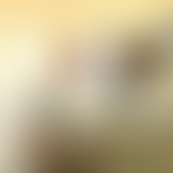 သိုက်တူးသူ