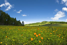 reality-of-heaven-paradise.jpg