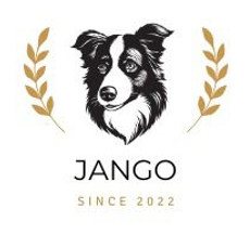 WhatsApp Image 2025-10-09 at 00.36.56.jpeg