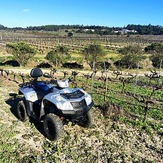 Passeio de moto 4 alpiarça