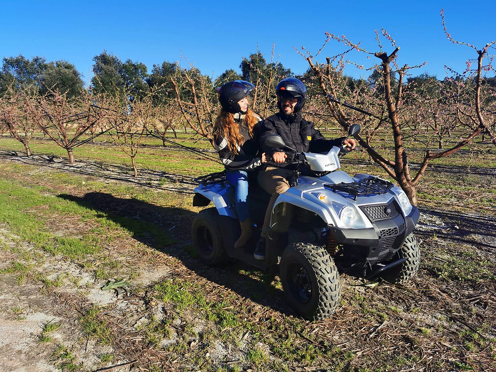 o que fazer em almeirim
