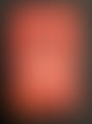 Wenn Höflichkeit reinhaut: Moderation als Kampfkunst