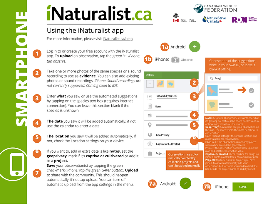 iNaturalist-App-How-to.pdf.png