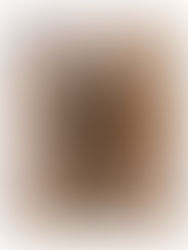 MARTINS : RAIN MAGAZINE