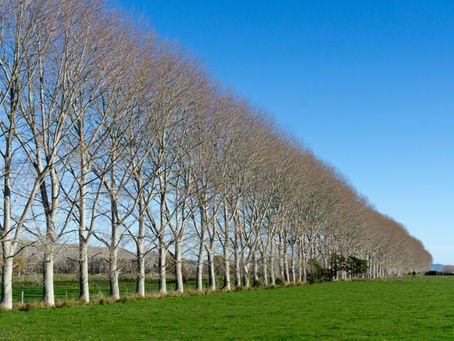 New Zealand photo book - Perfect Winter day in the Bay of Plenty