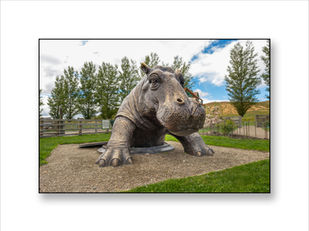 hippo art sculpture looking like it is crawling out of a manhole in rural New Zealand