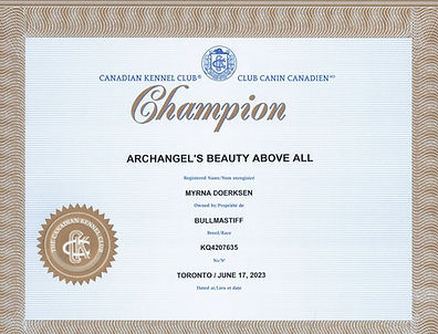 Mia CH_page-0001 (1)_edited_edited.jpg