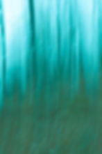 Michel Somville Impressionnisme 1-1