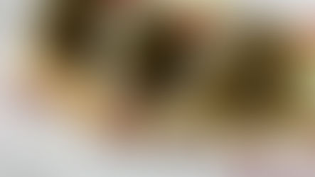 Falafels de Garbanzo