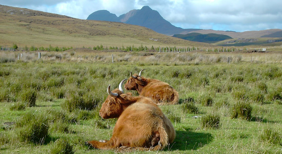 Elphin Rare Breeds Farm