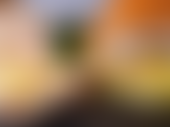 Pollo Enrollado con Jamon y Queso