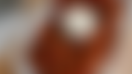 Oven Baked BBQ Chicken Wings Recipe