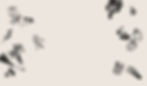 ZL_web_Start_ohne.jpg