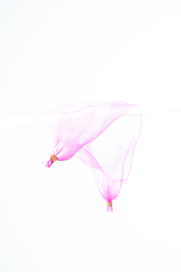 _MG_2202.jpg