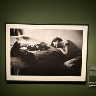 Black and white photo of a woman sleeping next to a baby and a cat on a bed. Displayed in a dark frame on a green wall. Text reads "USA, New York 1953".