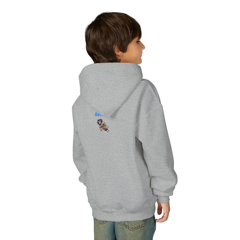 Thumbnail: USA Themed Youth Hooded Sweatshirt