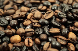 Indonesian Luwak Coffee
