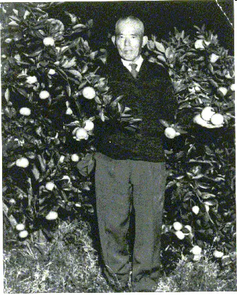 devastating freeze wiped out his orchard in 1911, Mitsutaro pivoted—his cucumbers thrived, launching a successful farming operation that expanded into a wide variety of crops.
