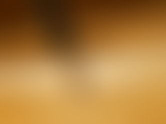 Pusaka & Pembahagian Harta: Faraid, Wasiat & Hibah dalam Islam