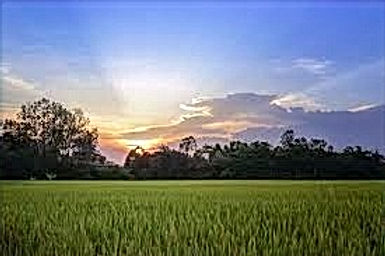 landscap_edited.jpg