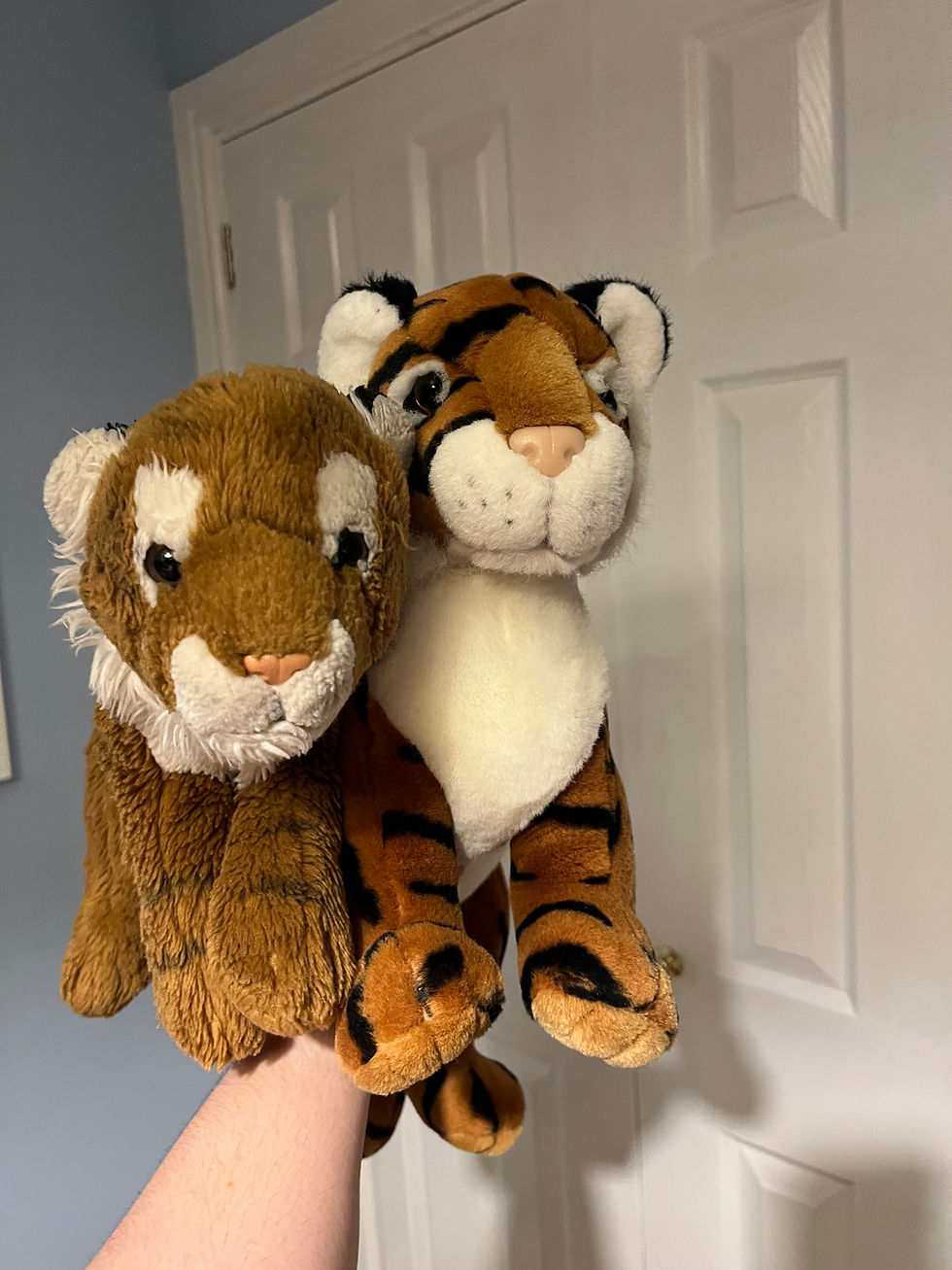 ^ Two Tiger-y Troublemakers, ready to commence their new life together 🐯
