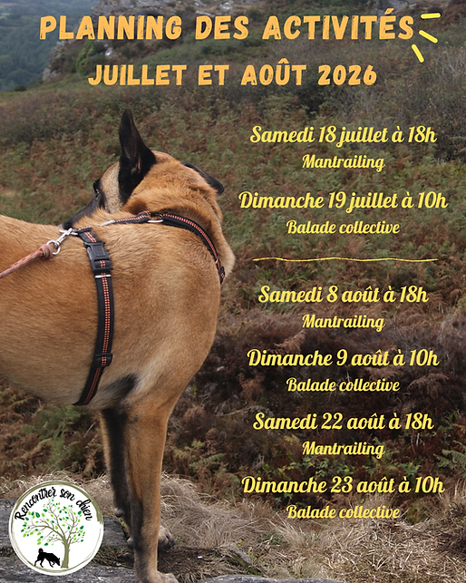 Planning des activités (7).png