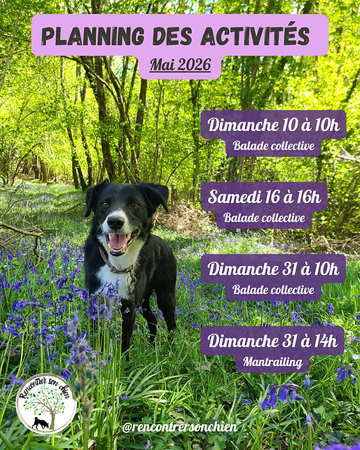 Planning des activités (6).png