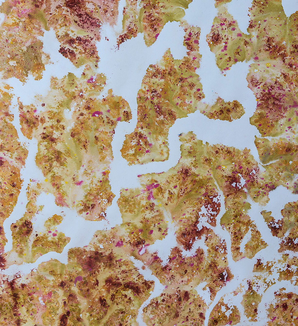 Thumbnail: Registros, Abstract Paintins. From the series Registros, Nat orlowski, Lacquers, pigments, Indian ink, acrylic, canvas