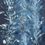 Thumbnail: Laminariales XvIII. From the series Bosque_Cyanotype photograph_abstract_ocean_nature