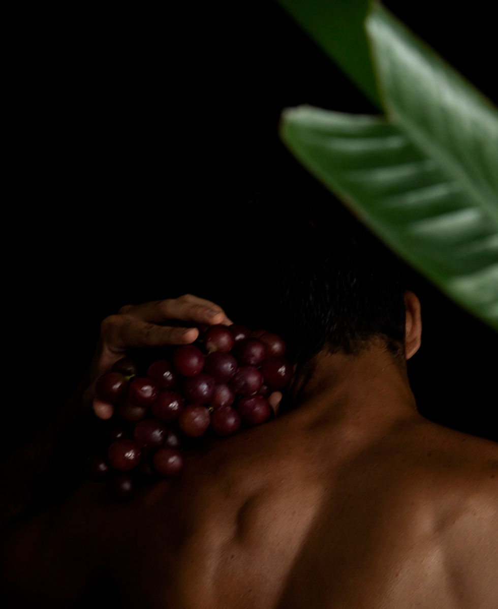 Thumbnail: Ricky Cohete color photography nudes figurative fashion plants