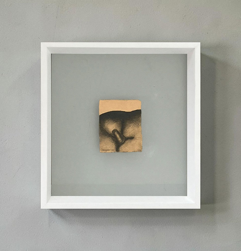 Algodón de Seda, 1978 works on paper, abstract, still life, ink