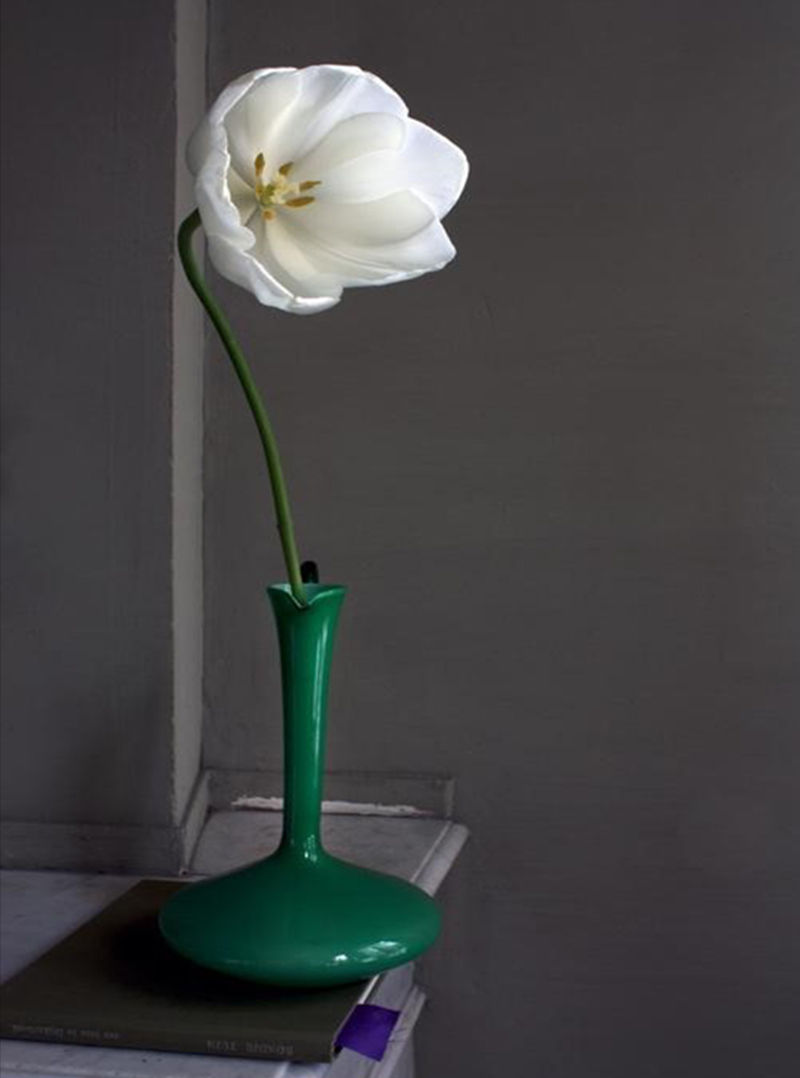 Thumbnail: Opalina, Portfolio of 9 photographs Michael James O'Brien color Photography still life contemporary art nature flowers