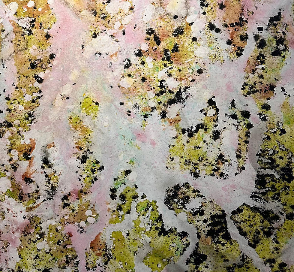 Thumbnail: Abstract Paintins. From the series Registros, Nat orlowski, Lacquers, pigments, Indian ink, acrylic, canvas