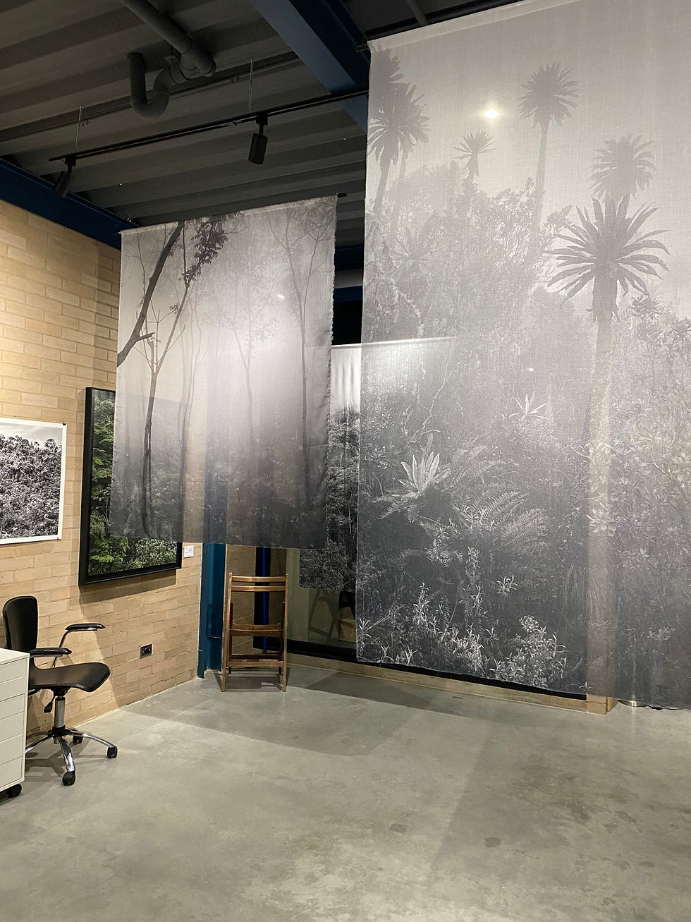 Thumbnail: Bosque de niebla Chicaque, 2022  From the Series Bruma  Sublimation on Swiss voile