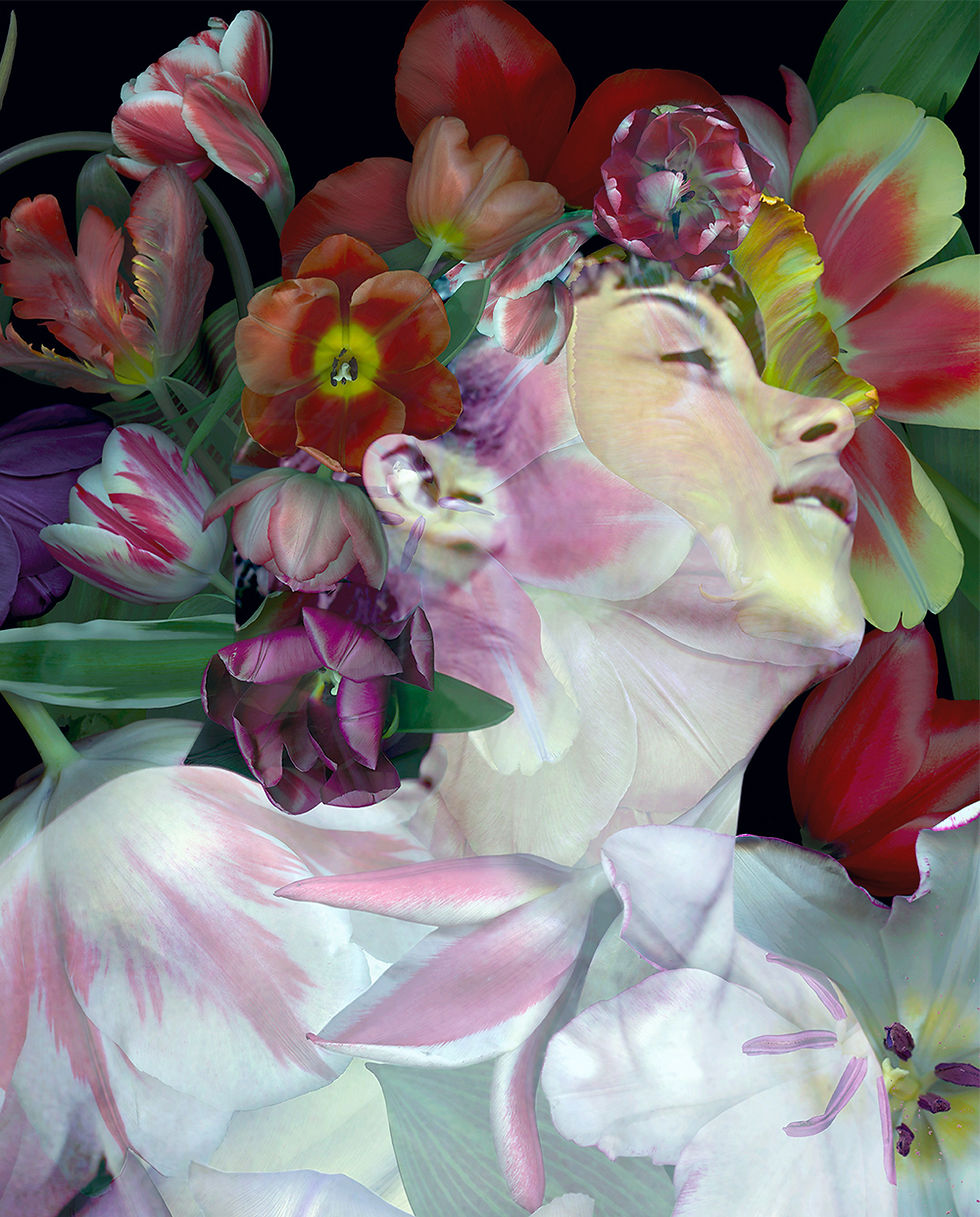 Fauna #1. From the series "Fauna" Zoltan Gerliczki photography color flowers still life