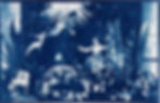 cyanotype_Dubravka Lazić_Serbia artists photographic analogue conceptual art_Still life color abstract