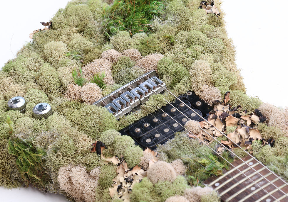 Raining In Your Bedroom Archival pigment print Kevin Krag photography contemporary color design nature guitar