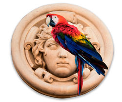 Exotic Delirium Installation