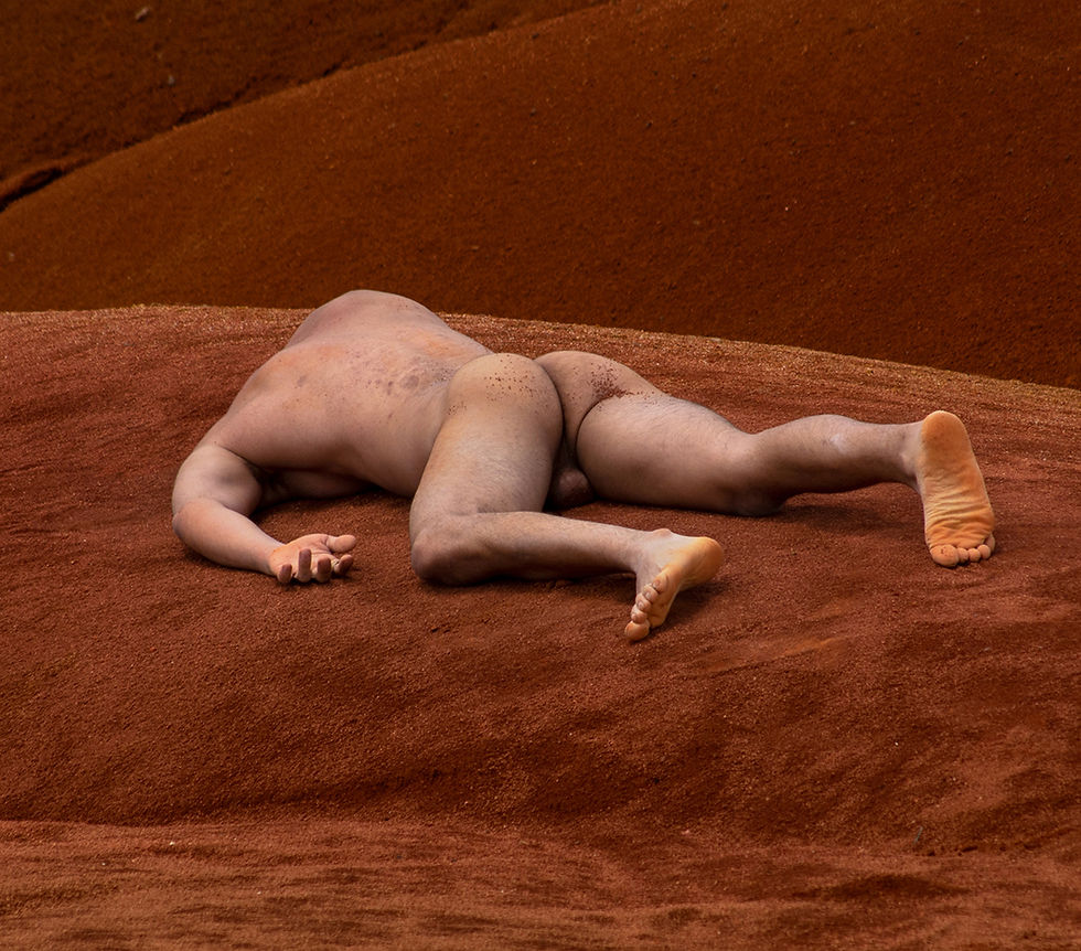 Thumbnail: Engulfment Javier Rey photography contemporary color landscape nude