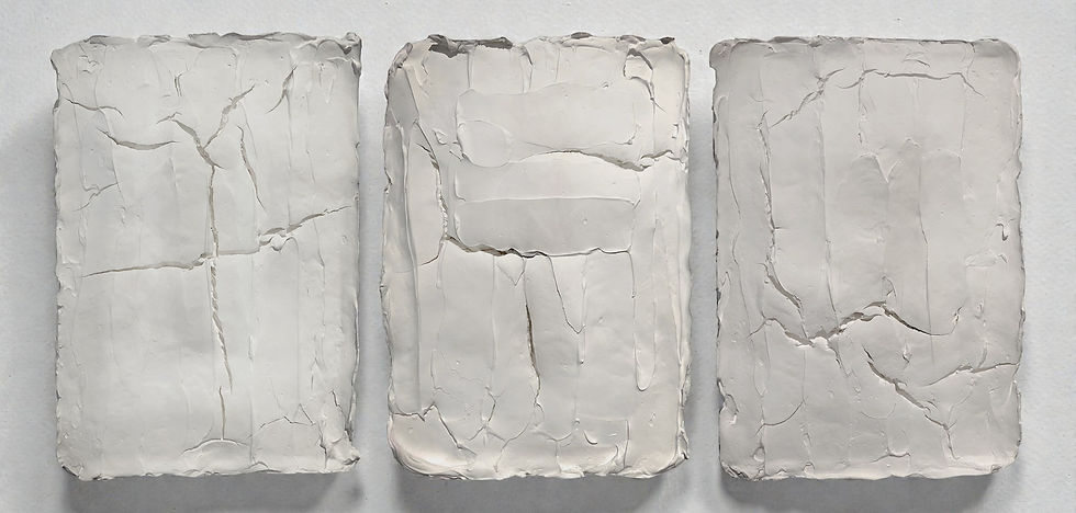 Ragisména series White, Abstract Sculpture, Plaster on canvas, mixed media