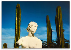 Delirio Exótico #12, 2020