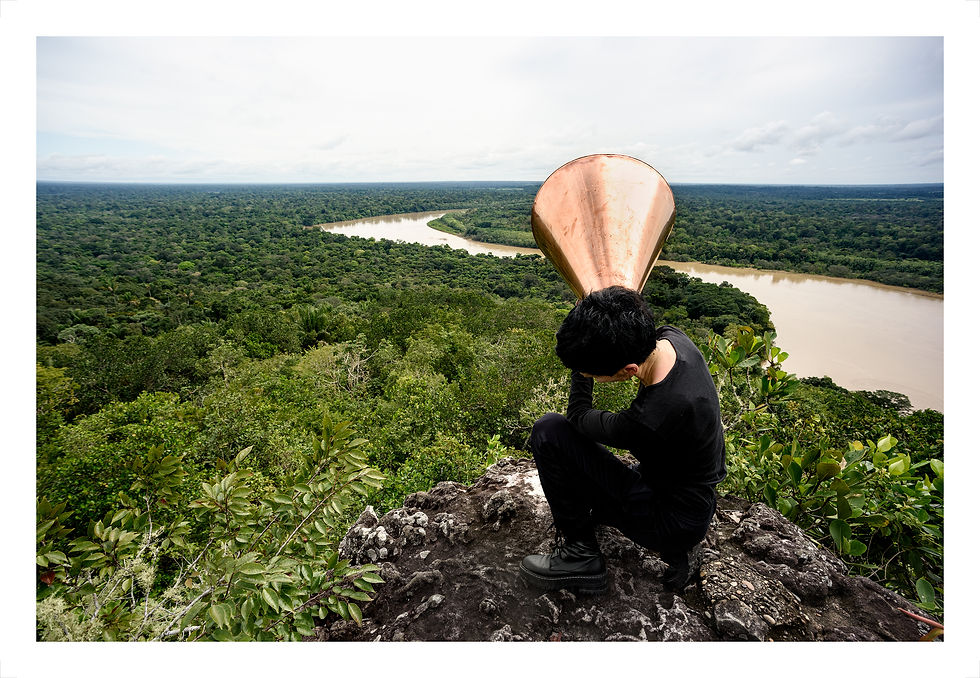 Thumbnail: ALL POSSIBLE FORESTS Portfolio, 2022- 2023  From the series All Possible Forest Inkjet print on photo rag metallic