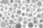 Cielo platon 2 and 3, 2021 From The Series Plato’s Heaven Soluble graphite on canvas