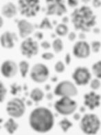 Cielo de Platón 2, 2021 Drawing. Geometric, abstract, cute, black and white, Graphite