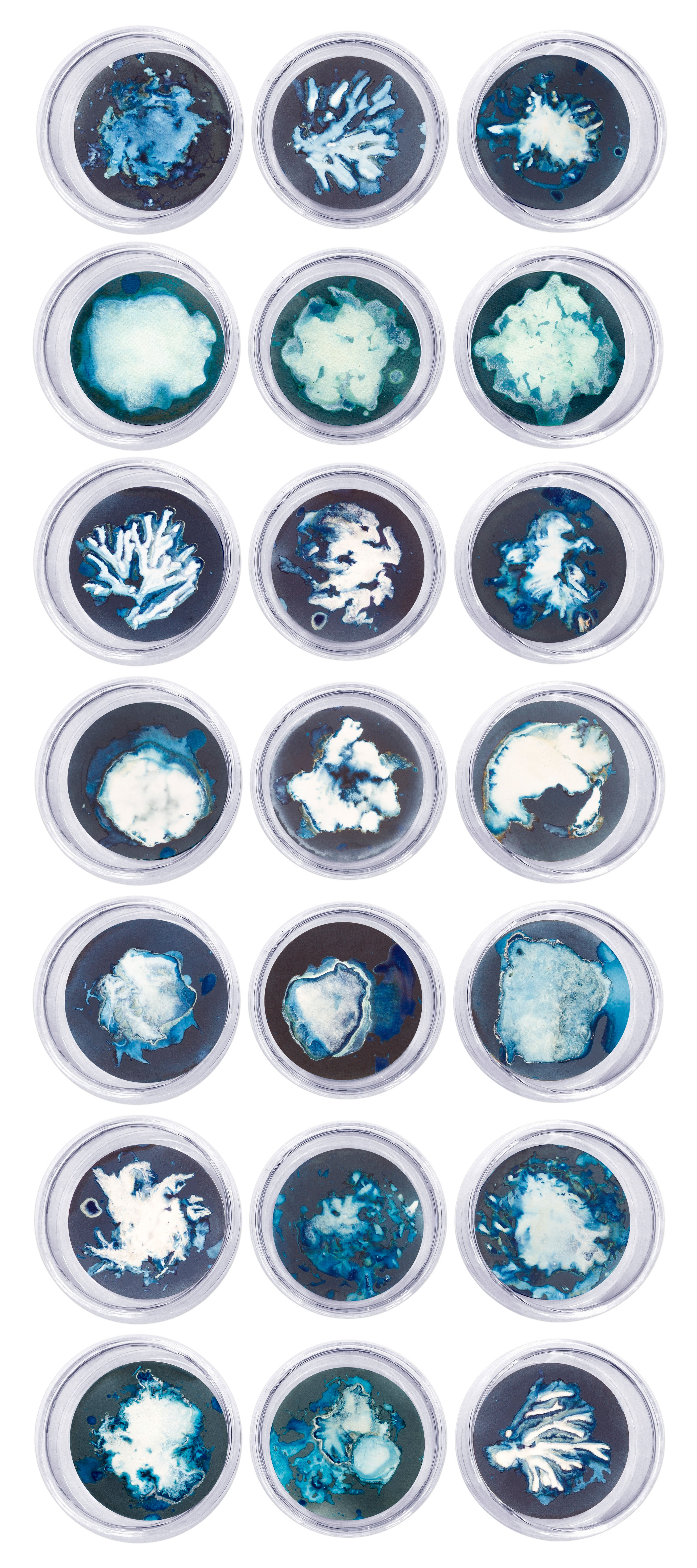 Paola Dávila_ still life photography_sea_nature_conceptual art_conceptual photography_